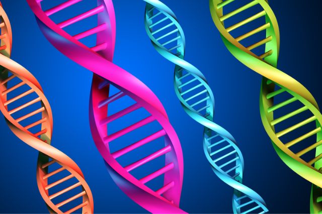 dna-jokes